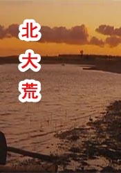红色按钮电视剧全集播放免费观看