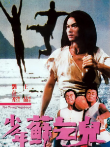 久久99精品久久久久久综合
