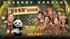 好律师的太太们